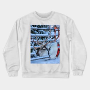 Lapland Crewneck Sweatshirt